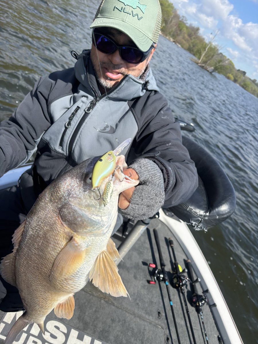 Nishine Lure Works tweet media