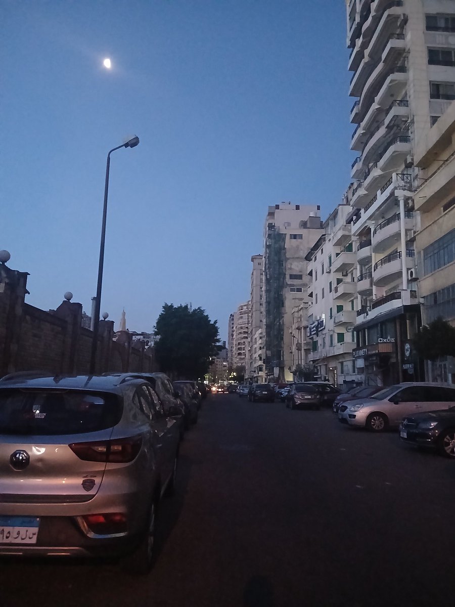 شلبي tweet media