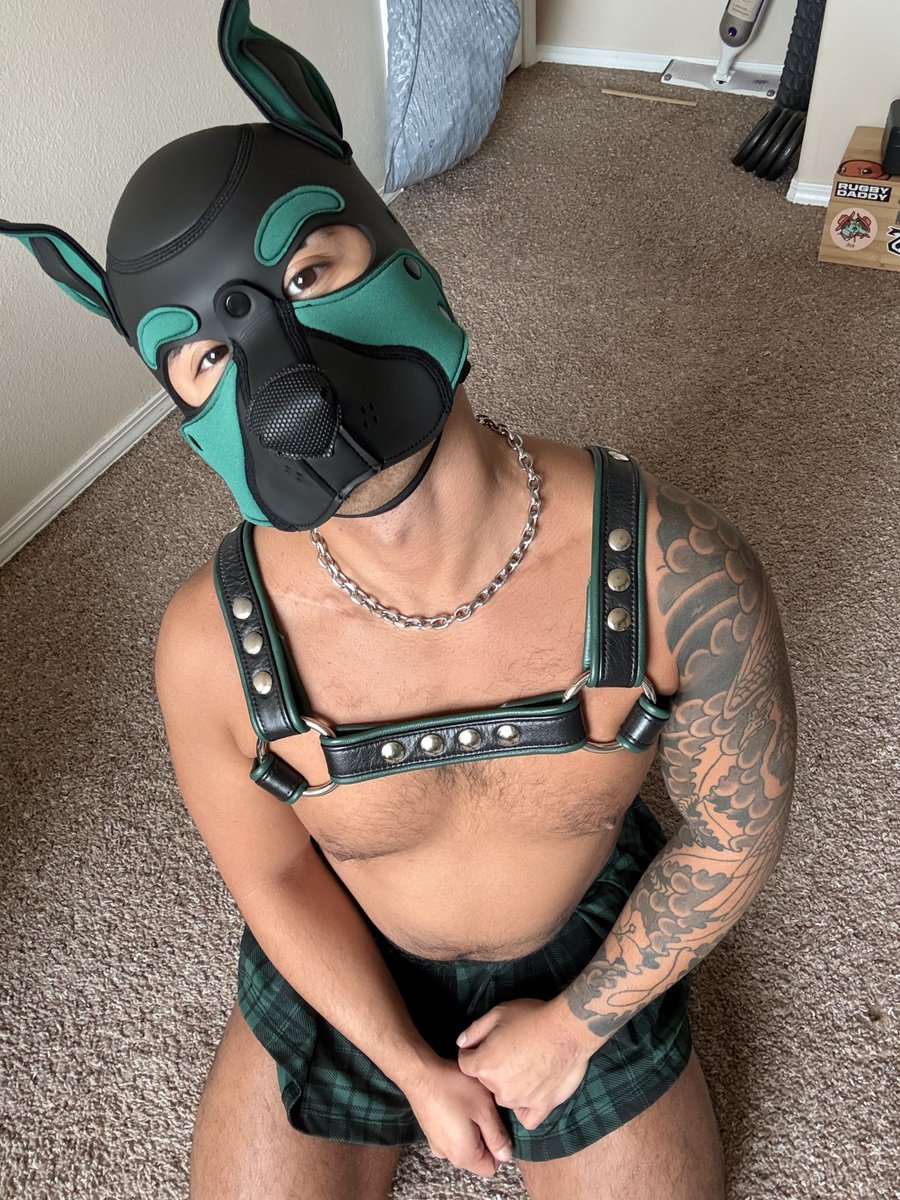 Pup Spunky tweet media