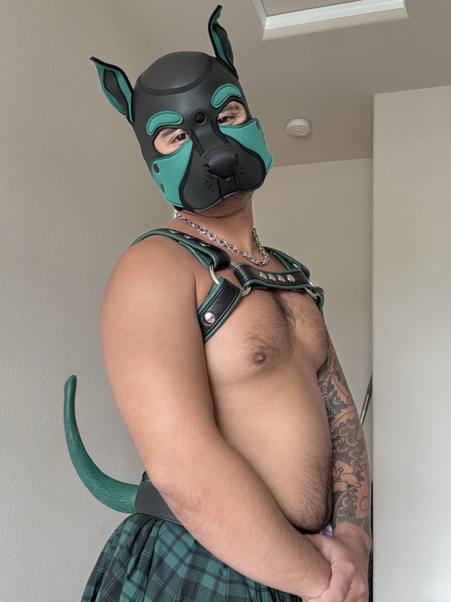 Pup Spunky tweet media