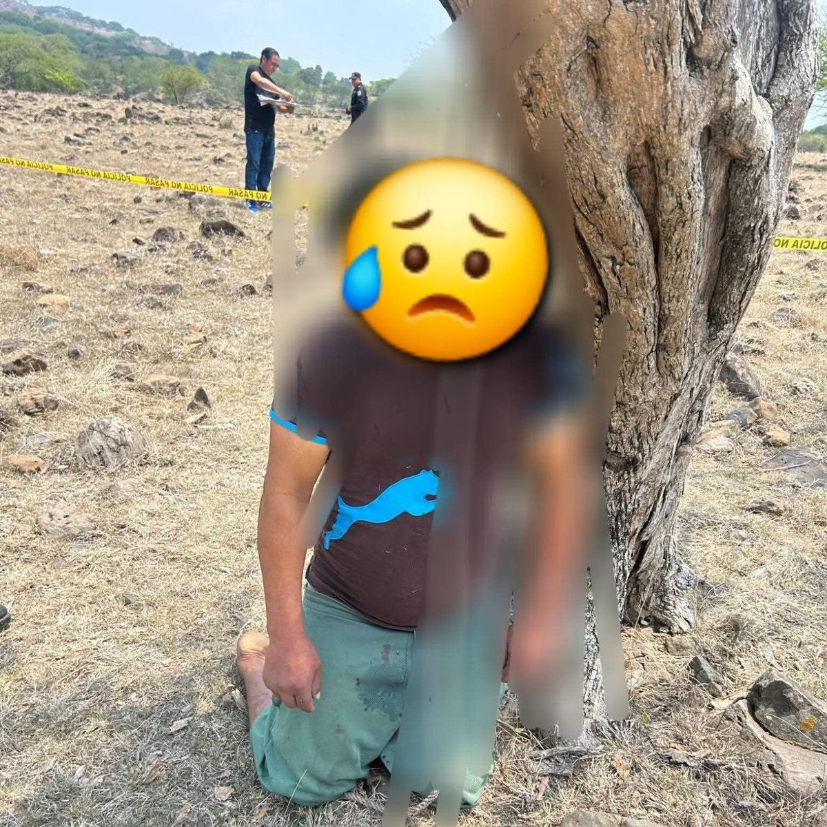DESAPARECIDOS SOS, EL Salvador. tweet media