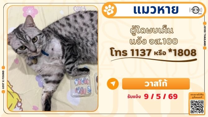 #แมวหาย จากบ้านถ.เลียบคลองนราภิรมย์(วัดมะเกลือ) ต.หนองเพรางาย อ.ไทรน้อย จ.นนทบุรี ผู้ใดพบเห็นแจ้ง JS100 โทร *1808 หรือ 1137

รายละเอียดเพิ่มเติม : js100.com/en/site/lost_f…

#ตามหาแมวหาย #JS100