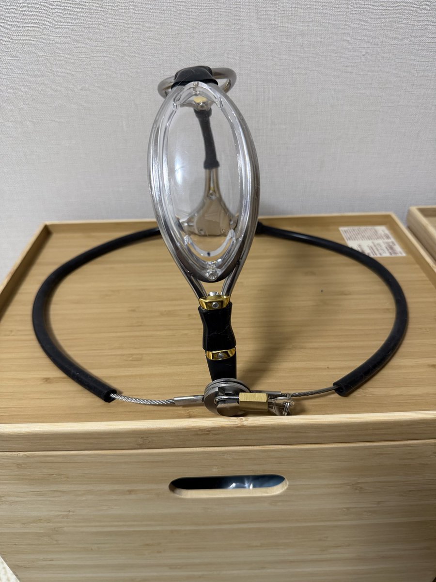 不爱吃香蕉的饲养员 tweet media