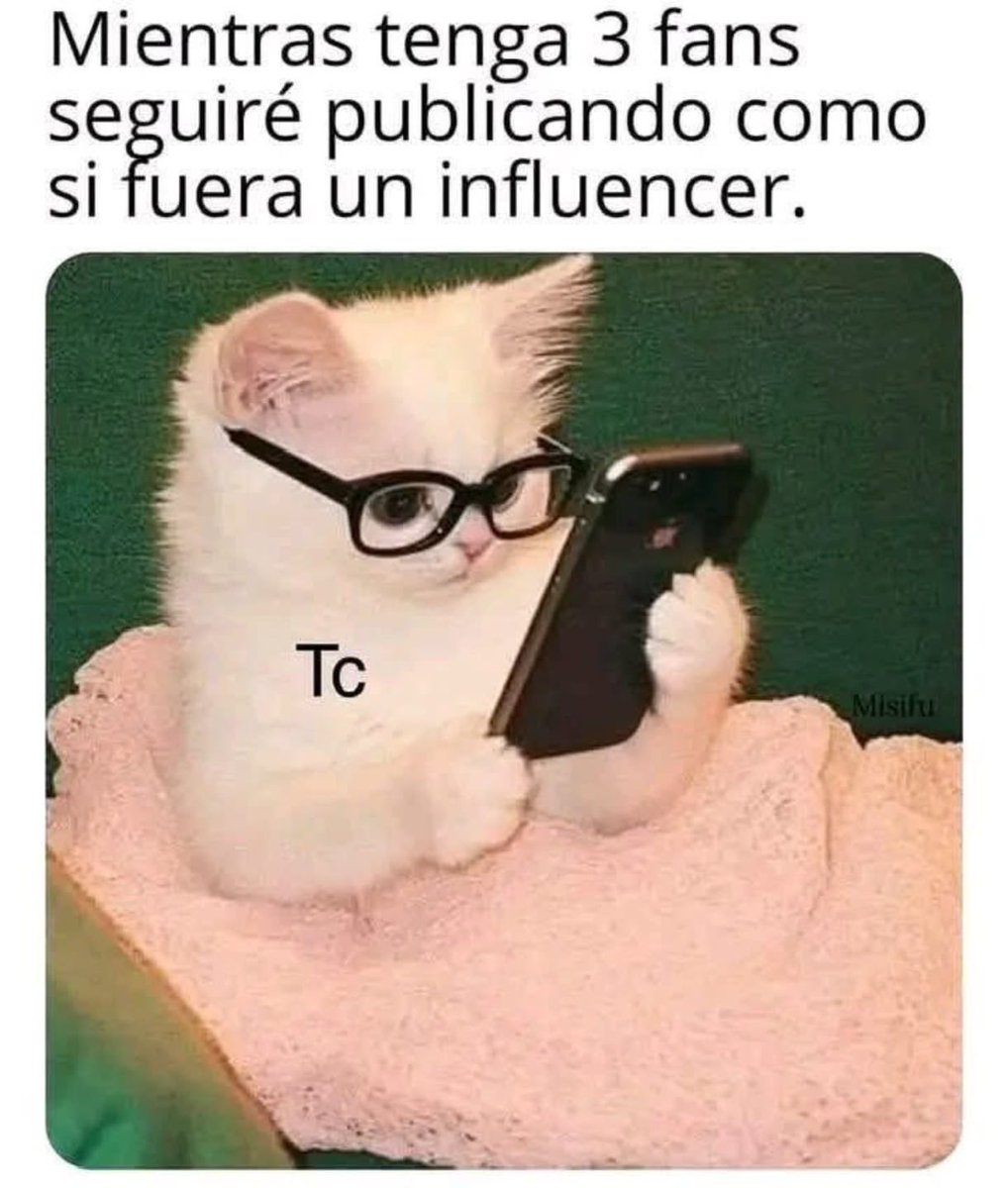 🚨‼️

Así yo 🤭. 👇👇