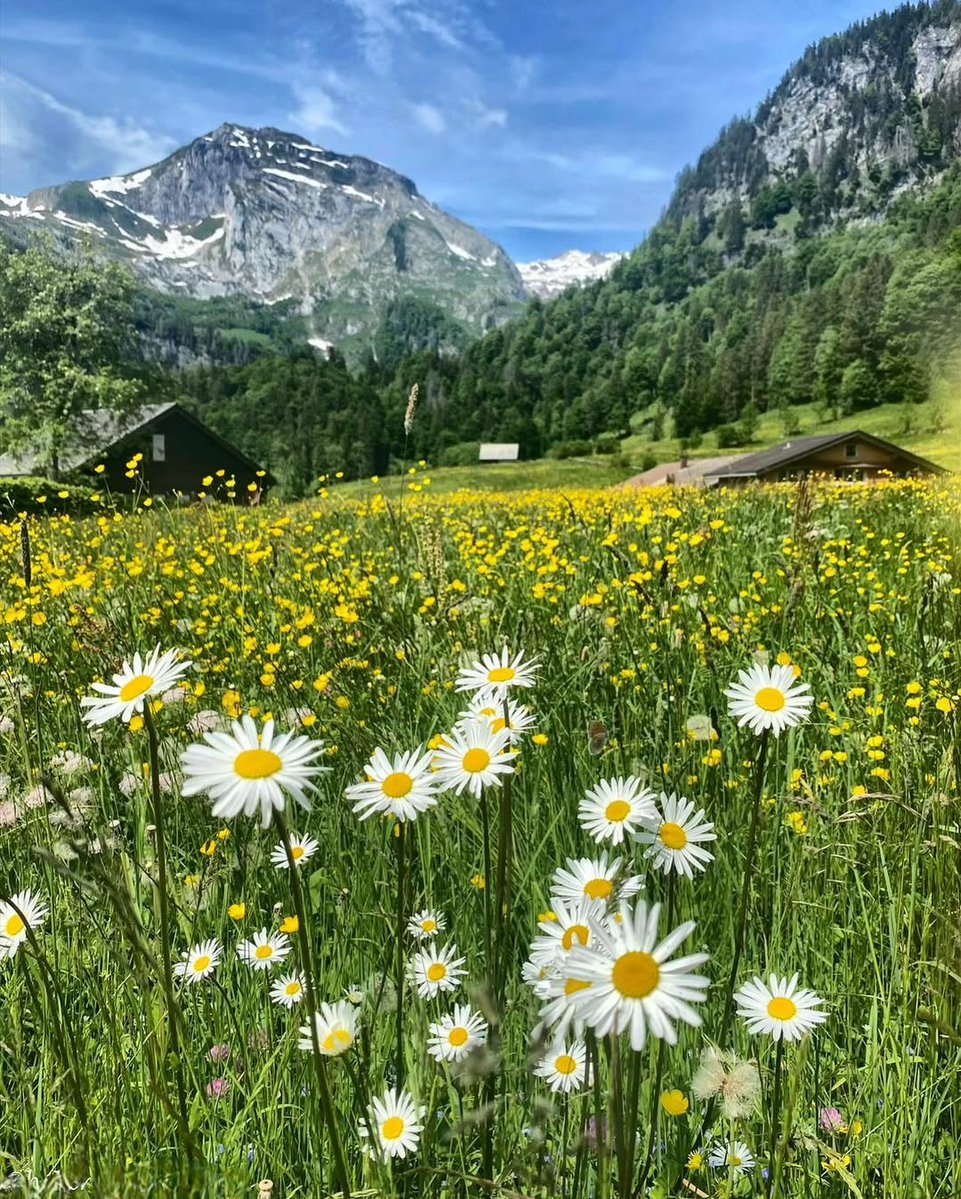 Beautiful weekend 🌼🗻