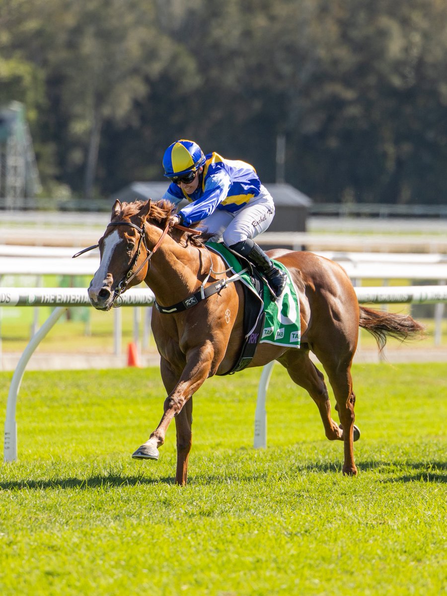 BBakerRacing's tweet photo. COMPENSATION brings up a running double for the stable taking out the $200K Thunder Thousand. 

3️⃣ city wins in a row this prep points to an exciting future for this gelding and his group of female owners 👏 https://t.co/EBpQTfFERb