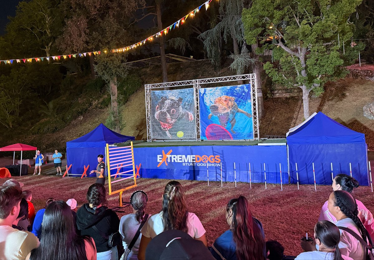 Attractions 360° tweet media