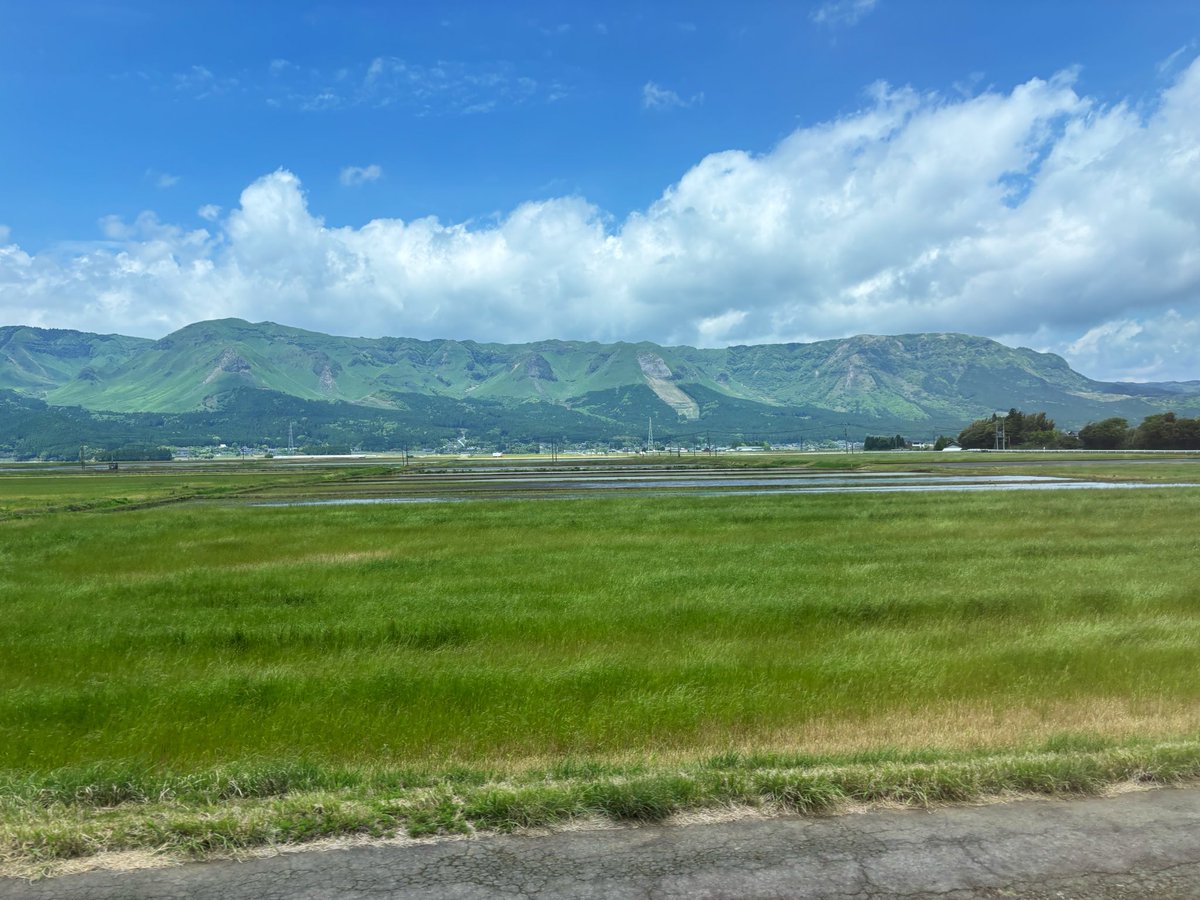 myintern87's tweet photo. 熊本初上陸〜🐻✨️

JR豊肥本線はカルデラの中を突っ切る
絶景路線でした🌳🗻🌲

馬肉もあか牛もソフトも美味しい🤤︎

 #撮り鉄 https://t.co/3TomX7udqv
