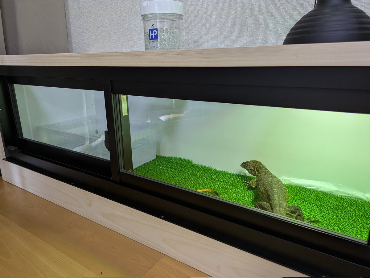 ナイルモニターのケージを大型へ！
このケージは <a href="/ikesime33/">IkD アルミ複合板爬虫類オーダーケージ</a> さんに
120アルミサッシケージをオーダーし作って頂きました！
ありがとうございました！！