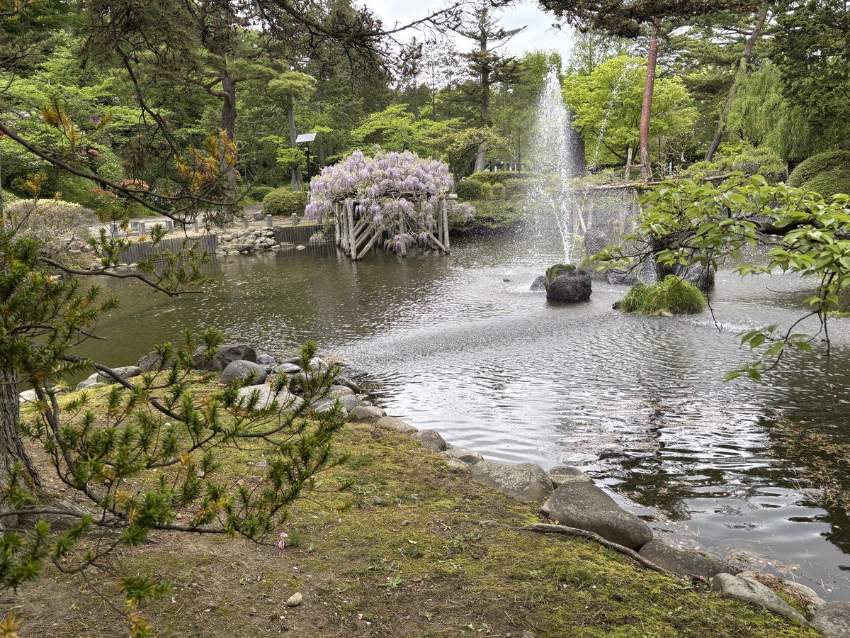 katsukeep's tweet photo. いざ仙台、の前に足を伸ばして秋田の久保田城跡の千秋公園へ。お城の建物は無いけど櫓も公園も美しい。先月、熊出たらしい。ちょっと怖😱
さあ、これからGRANRODEO。 https://t.co/p1Xn5N7tlg
