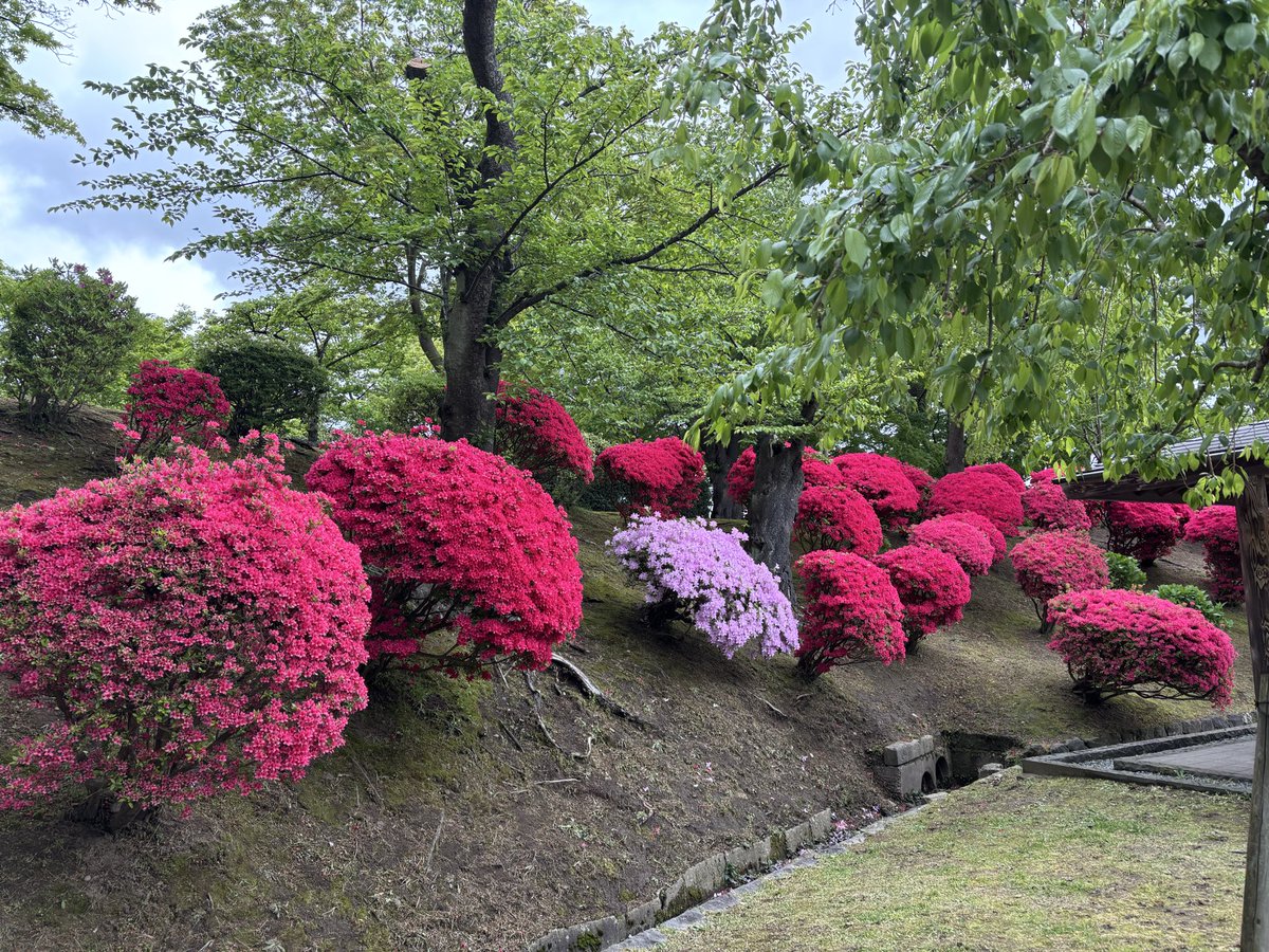 katsukeep's tweet photo. いざ仙台、の前に足を伸ばして秋田の久保田城跡の千秋公園へ。お城の建物は無いけど櫓も公園も美しい。先月、熊出たらしい。ちょっと怖😱
さあ、これからGRANRODEO。 https://t.co/p1Xn5N7tlg