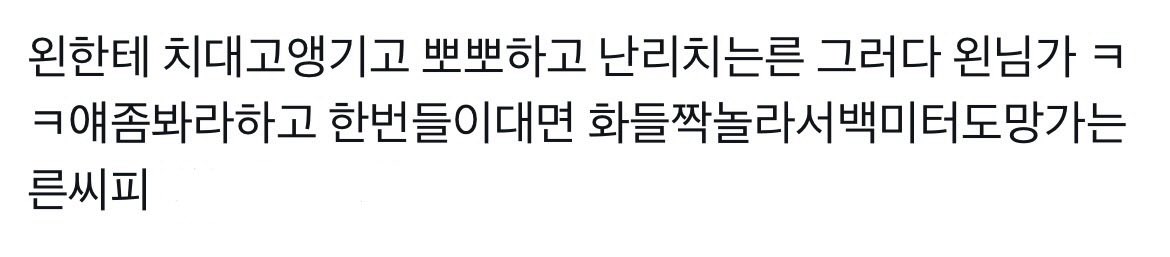 선하 tweet media