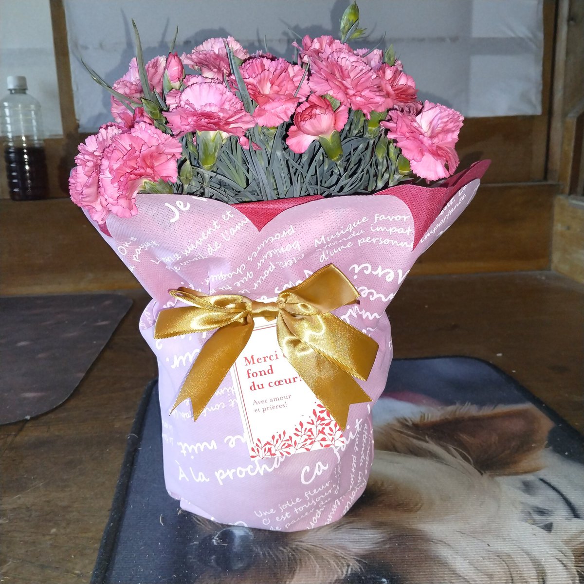 Kimican4649's tweet photo. @XLpvMSnIbeCjK91 こんにちは☀
新潟県の花屋さんから
豪華なカーネーションが
届きました🌺
毎年 いただき 
ありがとう(^人^)
御自愛くださいね‼️m(__)m https://t.co/LFlBz34Z30