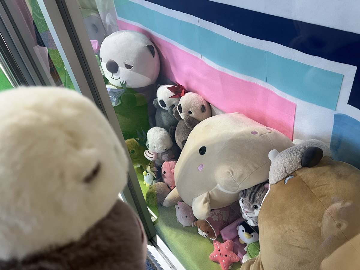 3939pe's tweet photo. メイたんのニュース聞いてびっくりしてるけど仕方ないよね…
夜中ずっとライブ観て癒されてた！
今少しだけYouTubeプレミアム入っててバックグラウンド再生できるから最高！
LINEしててもキラメイ見える！
実は先月弾丸で鳥羽に行ってきたよ🦦✨

メイたんお誕生日おめでとう🦦🎈 https://t.co/aDhZe3cQyP