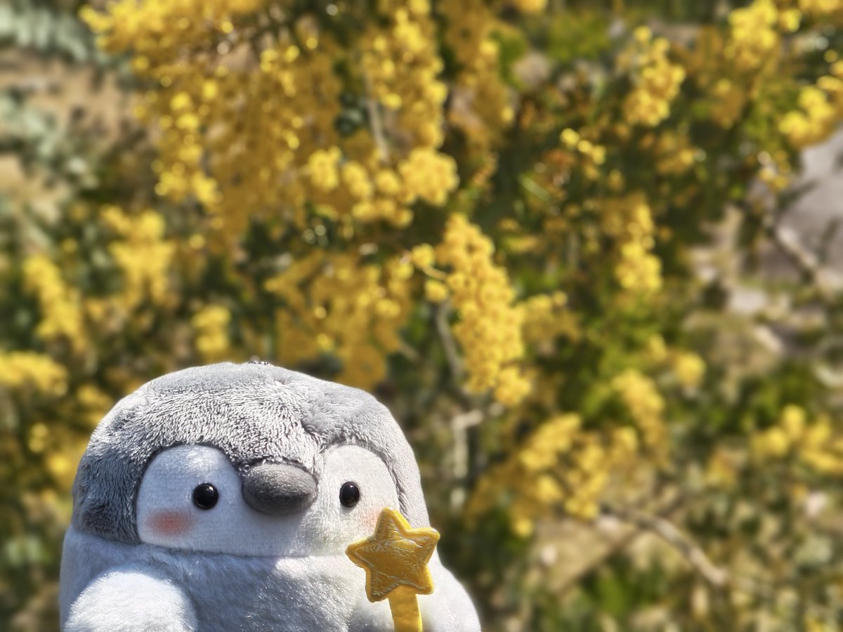 みつ葉あお依 【works+】出展予定は固定をチェックしてね tweet media