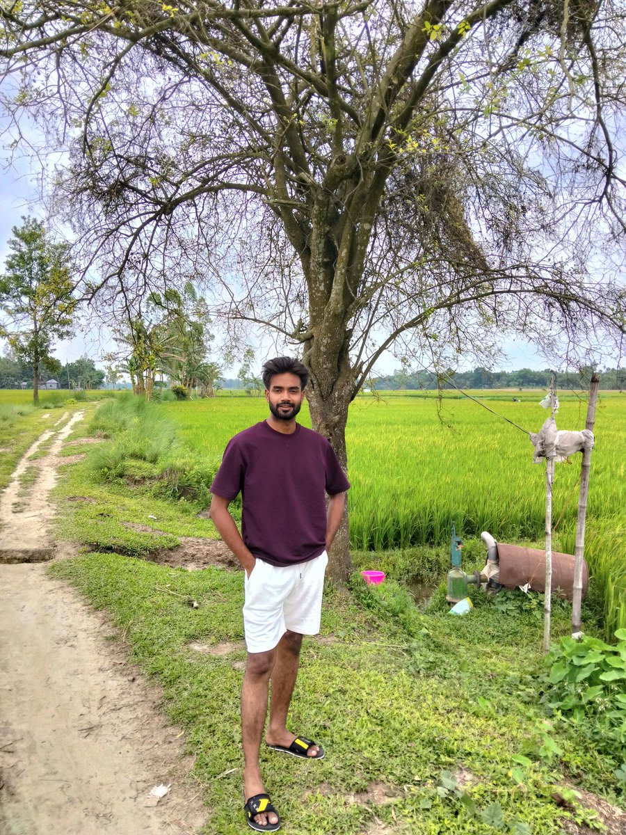 Robin Islam tweet media