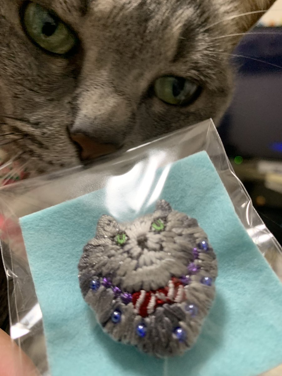 tinmugi's tweet photo. @nkae10 さんのお店で買ったモネチに似てるブローチ🐱
灰色でグリーンのお目目だからモネだー！ってなった♪ https://t.co/7cpSwL1IXj