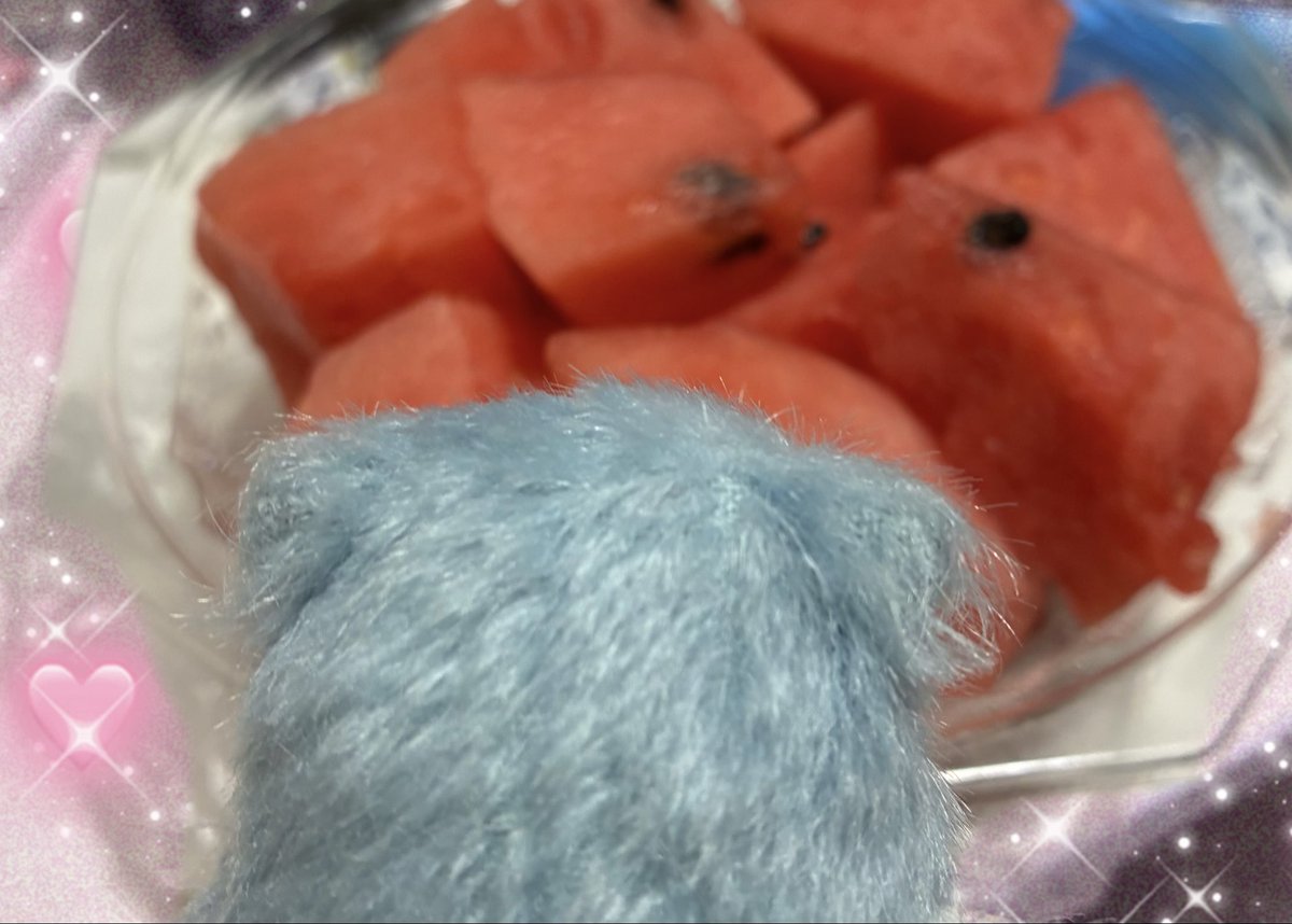 ramsterchan's tweet photo. 🐹 ｼｬｷｼｬｷ んま！ https://t.co/8OJxNbfKAz