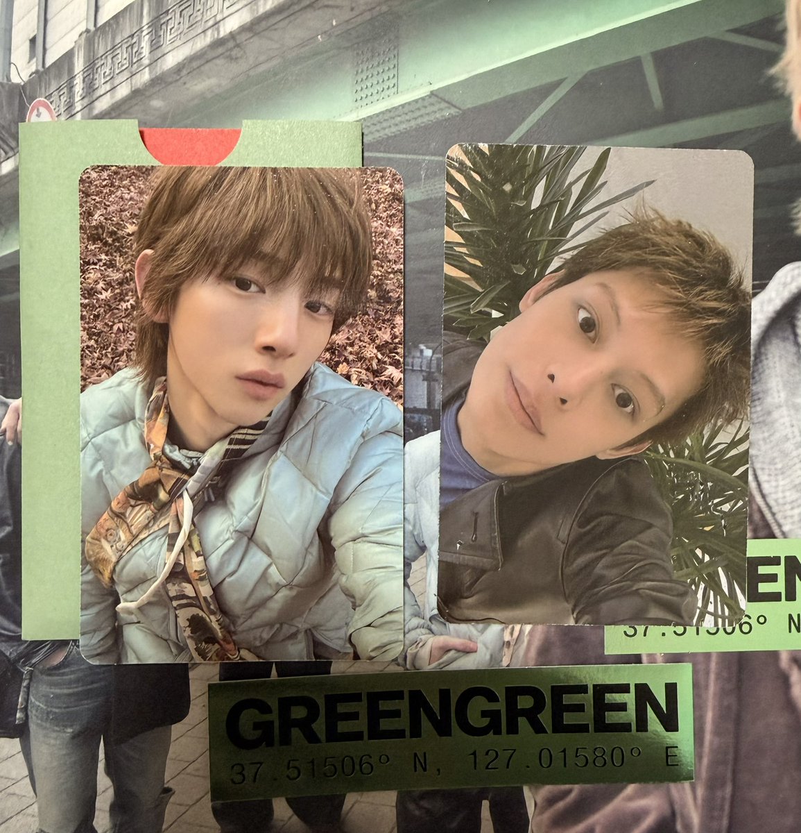 cortis greengreen トレカ交換 譲: ジュフン、ジェームス 求: 同種
