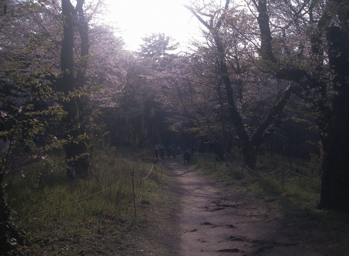 nyafu tweet media