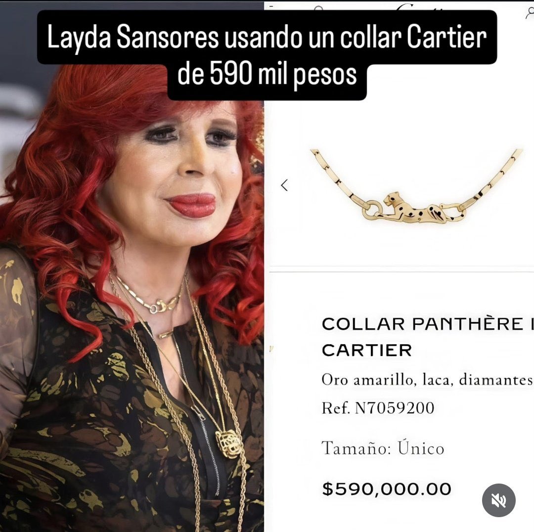Campeche sin liquidez, oficinas al borde de apagarse y Layda Sansores hablando de que no alcanza ni para la luz.

Pero en el cuello, un Cartier Panthère de casi 590 mil pesos.

La contradicción se cuenta sola.

El gobierno dice que no hay recursos para operar, pero la austeridad