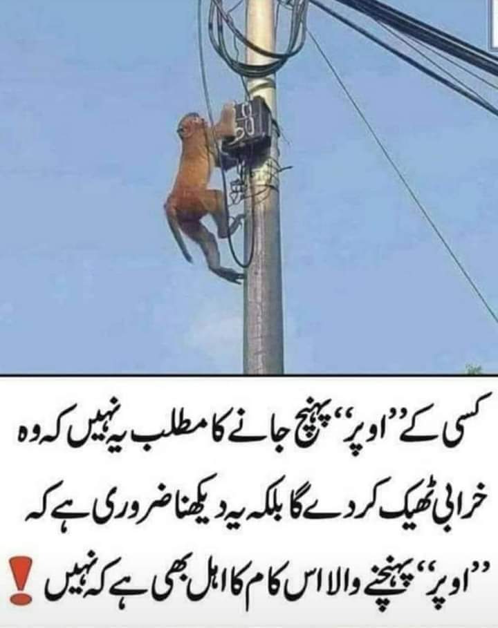 GeminiFighter01's tweet photo. @GaziAmirGujar @iqrarulhassan @jawadahmadone یہ لگایا کریں انشاء اللہ افاقہ ہوگا اگر نہ ہو تو یہ معجون استعمال کریں https://t.co/01fCkyIhuH