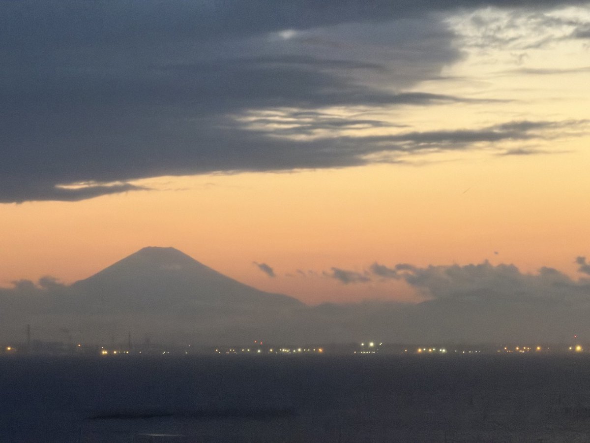 東京老馮 tweet media