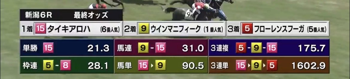 新潟6R 3歳未勝利 (15)→◉→△ 出た3連複万馬券👌