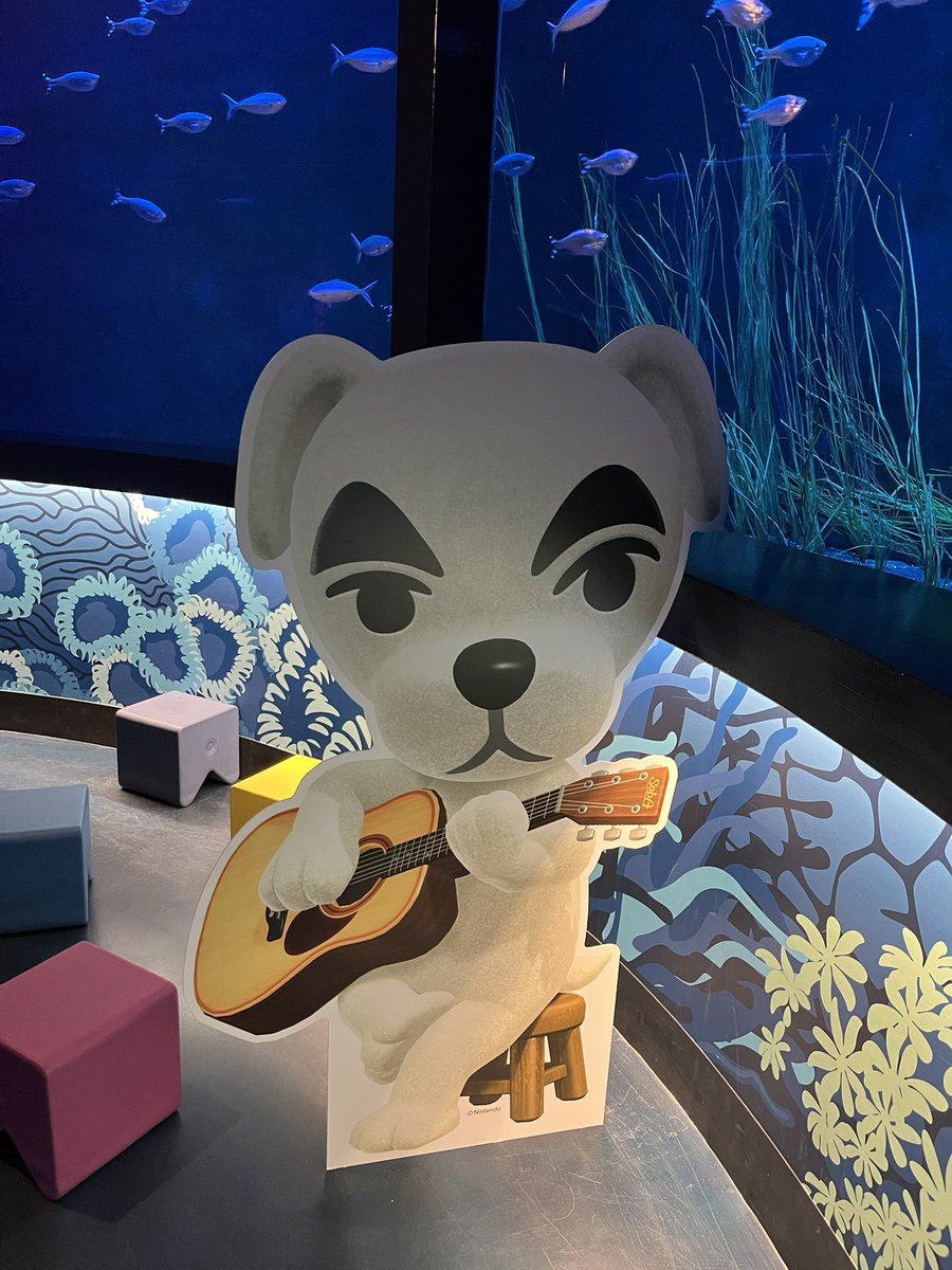 𝚎𝚖𝚒𝚗𝚊 🐈🌿 tweet media