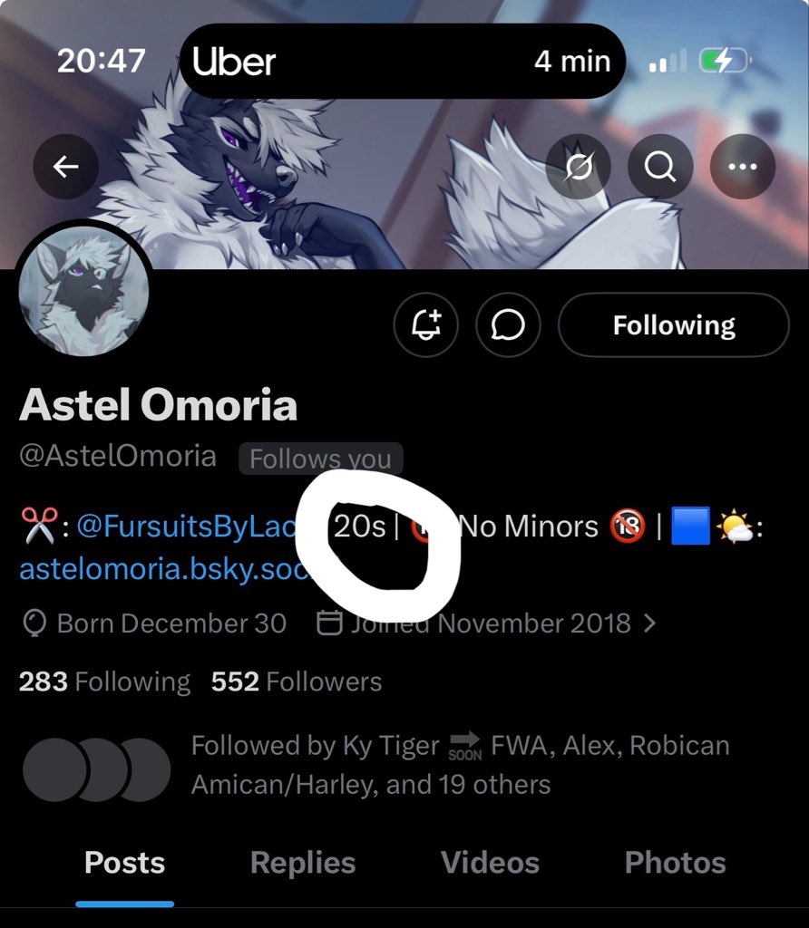 🦊 𝙇𝙪𝙞𝙨 𝙁𝙤𝙭 ⚾️ tweet media