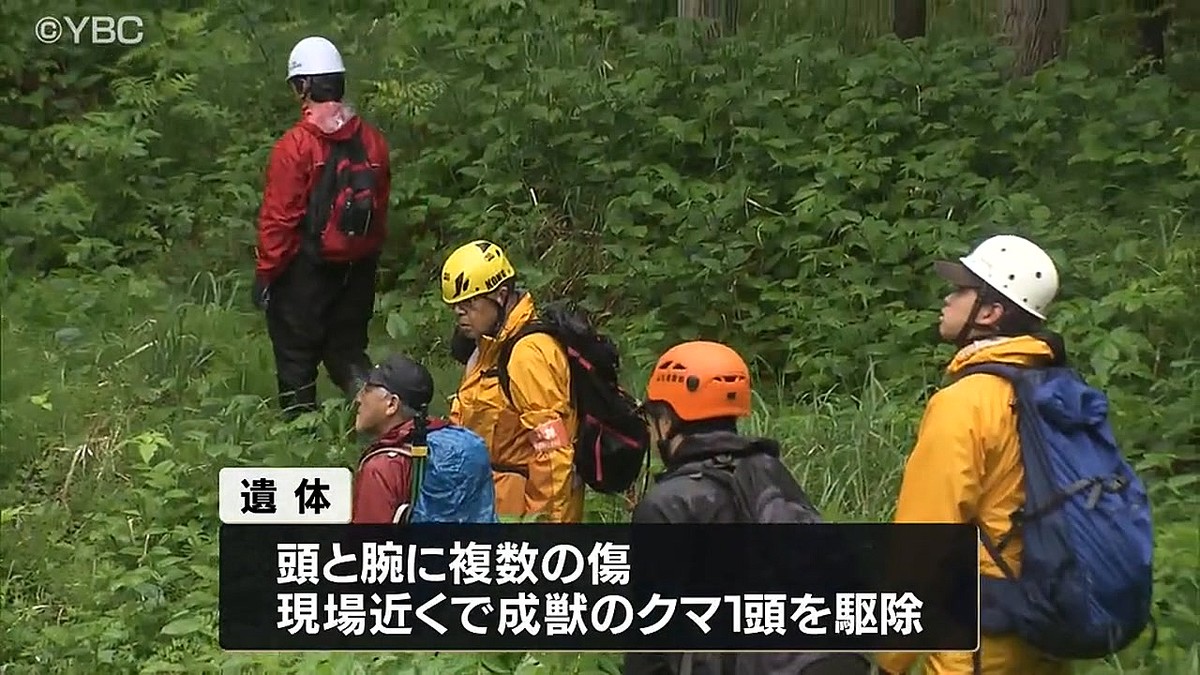 【判明】山菜採りで行方不明の男性を遺体で発見、クマに襲われたか 山形
news.livedoor.com/article/detail…

遺体の頭と腕には複数の傷があり、発見後、現場近くに現れた成獣のクマ1頭が猟友会によって駆除されていた。また、遺体には動物の歯型や引きずられたような痕があったという。