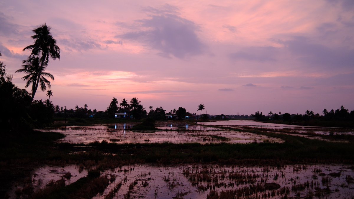 96__curry's tweet photo. alleppey https://t.co/WQbkdRsjgn