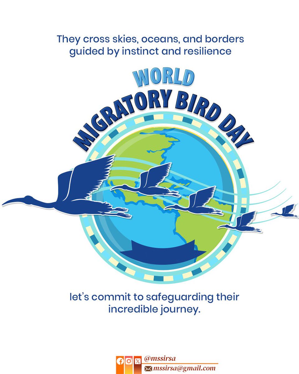 mssirsa's tweet photo. They cross skies, oceans, and borders, guided by instinct and incredible resilience.
On World Migratory Bird Day, let’s come together to safeguard their remarkable journeys. 

From wetlands to vital flyways, every action counts. Whether it’s protecting habitats, reducing pollution, or supporting conservation efforts.

Together, we can ensure these feathered travelers continue to soar free for generations to come.