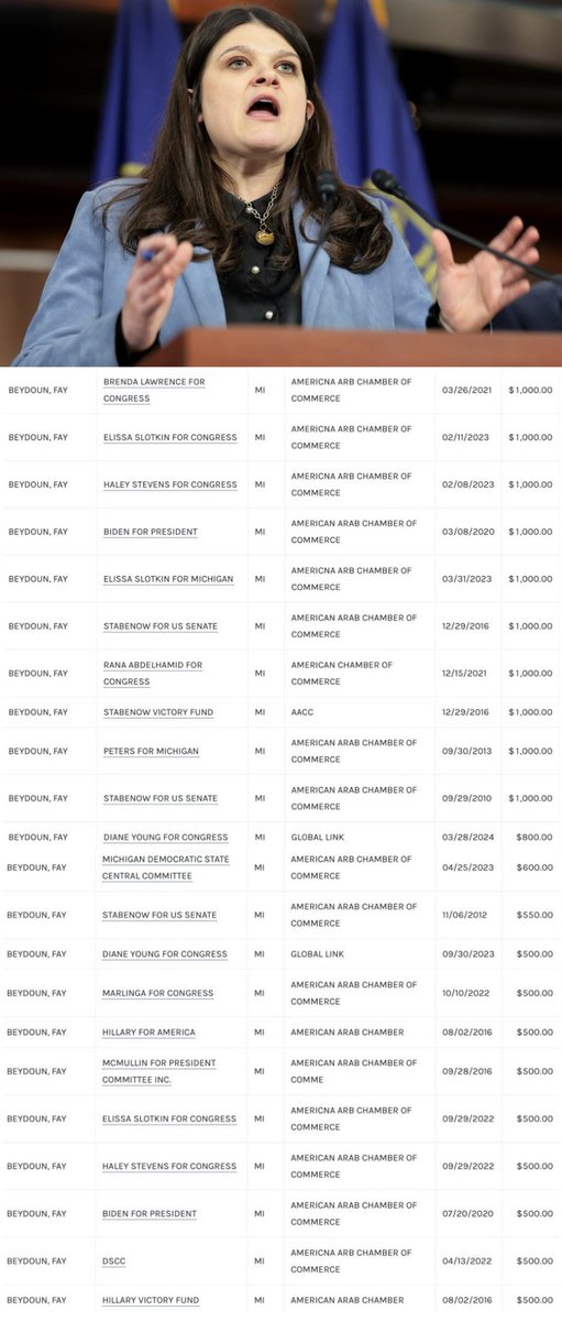 Oh Dear! Momma needs a new pair of shoes and a camel to flee the crime scene. Fay Beydoun, an Arab-American woman featured on the Muslims For American Progress website, has been charged for heisting $20 million from taxpayers in Michigan. And her massive campaign contributions to