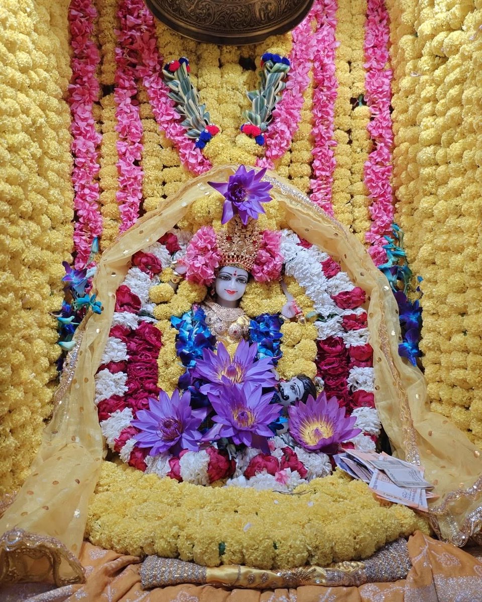 Maa BaglaMukhi Mandir tweet media