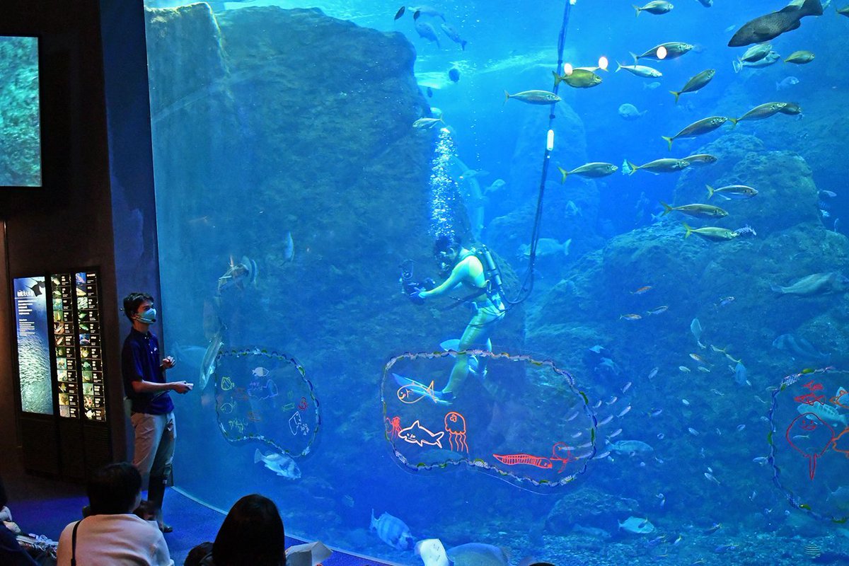 新江ノ島水族館 tweet media