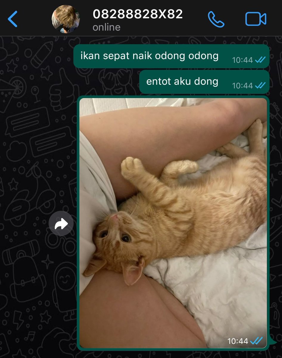 KEi tweet media