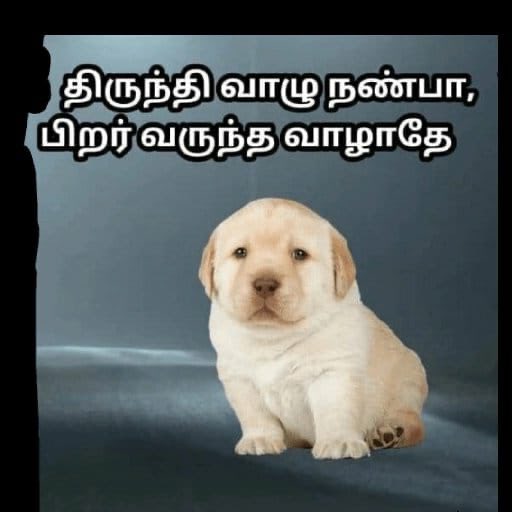 ரைட்டு tweet media