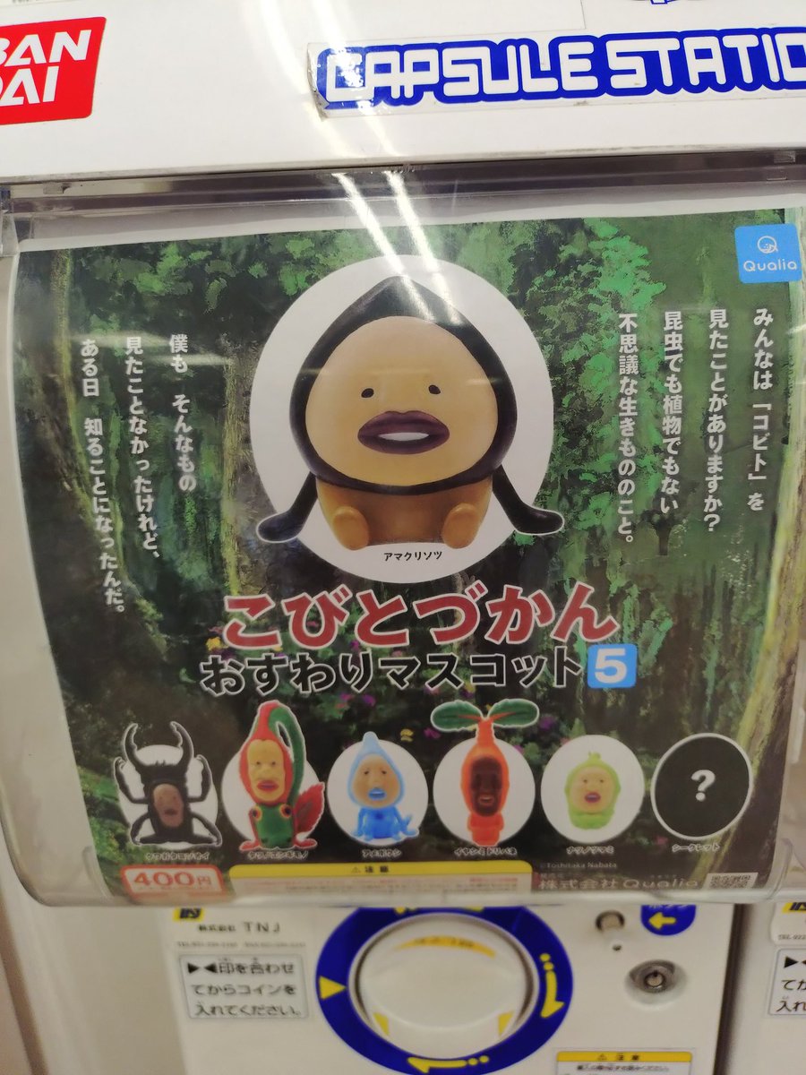 酒井 きよみ tweet media