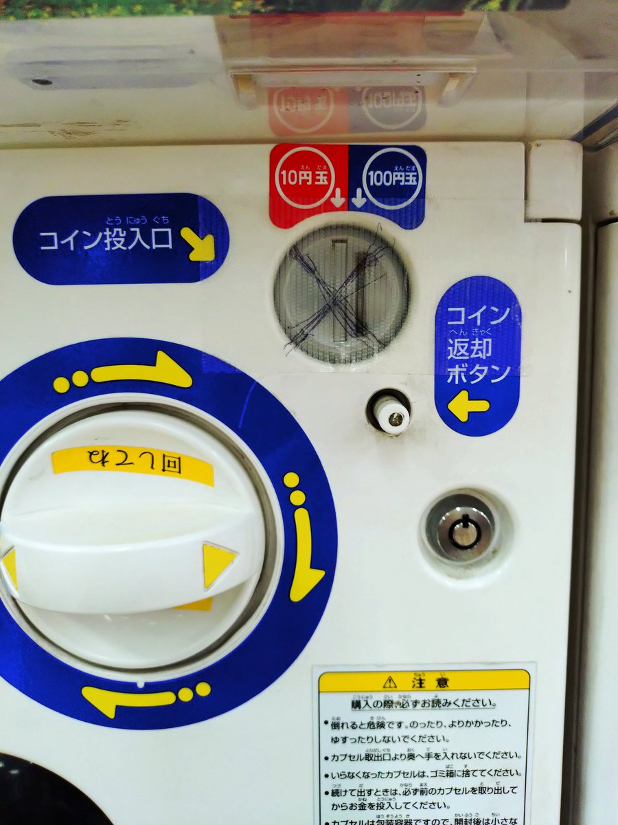 酒井 きよみ tweet media