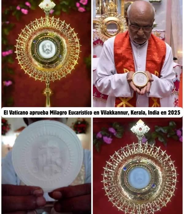 Saint Adaugoijele ✝️ tweet media
