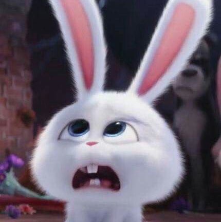 ໒꒱ ˖˚୨୧⋆ ݁˖번니피치.ᐟ 🐰🍀 𓂃 tweet media