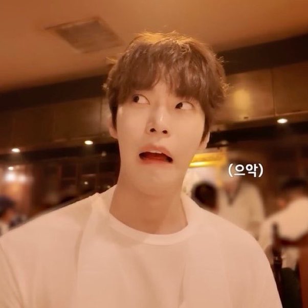 ໒꒱ ˖˚୨୧⋆ ݁˖번니피치.ᐟ 🐰🍀 𓂃 tweet media