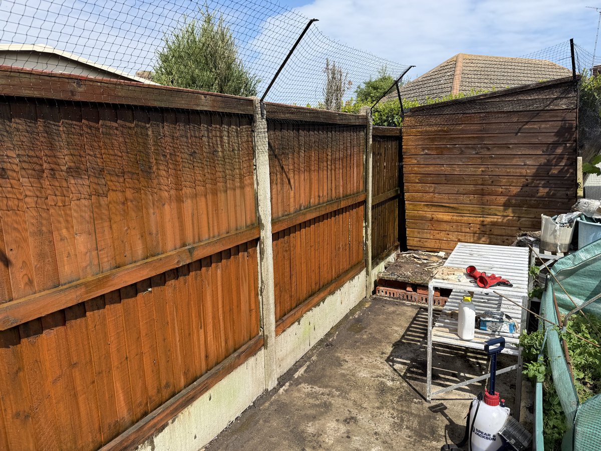 ExtraCarePro's tweet photo. Fresh coat of creosote for this shed and fence panels in Sittingbourne. https://t.co/mJPeAJXdCU