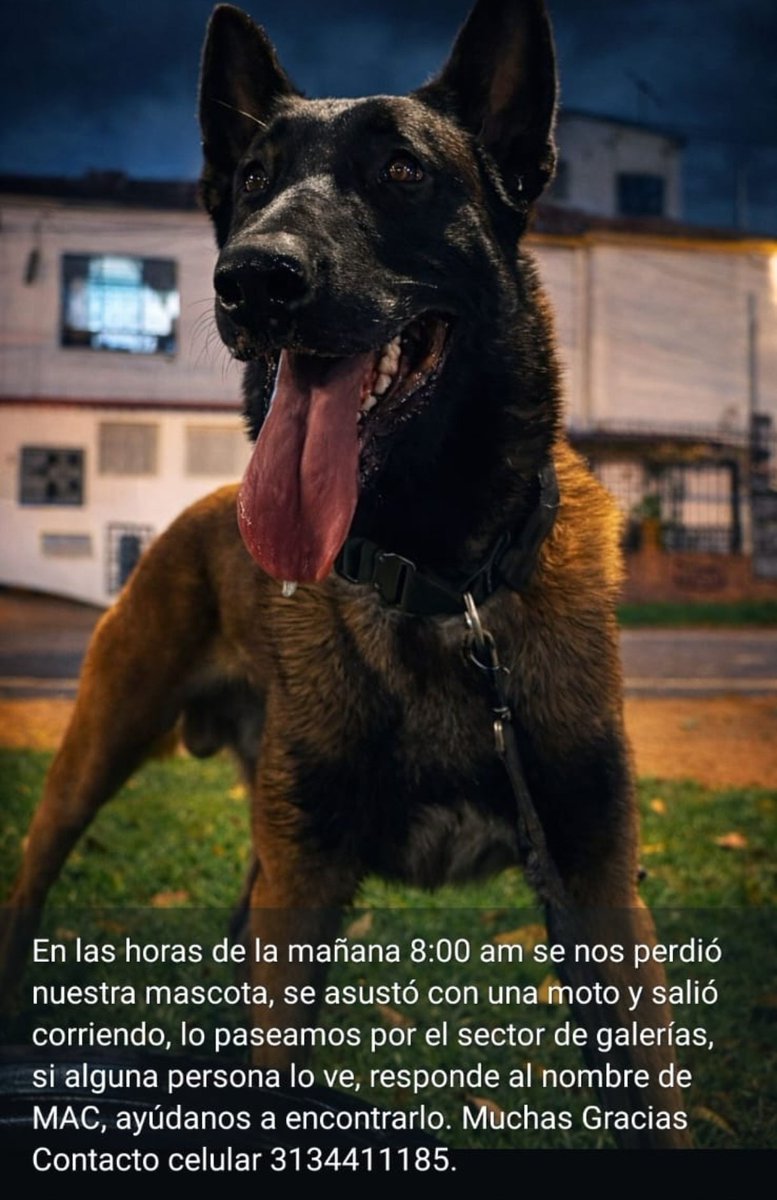 🐾scardosoch_1974💕 tweet media