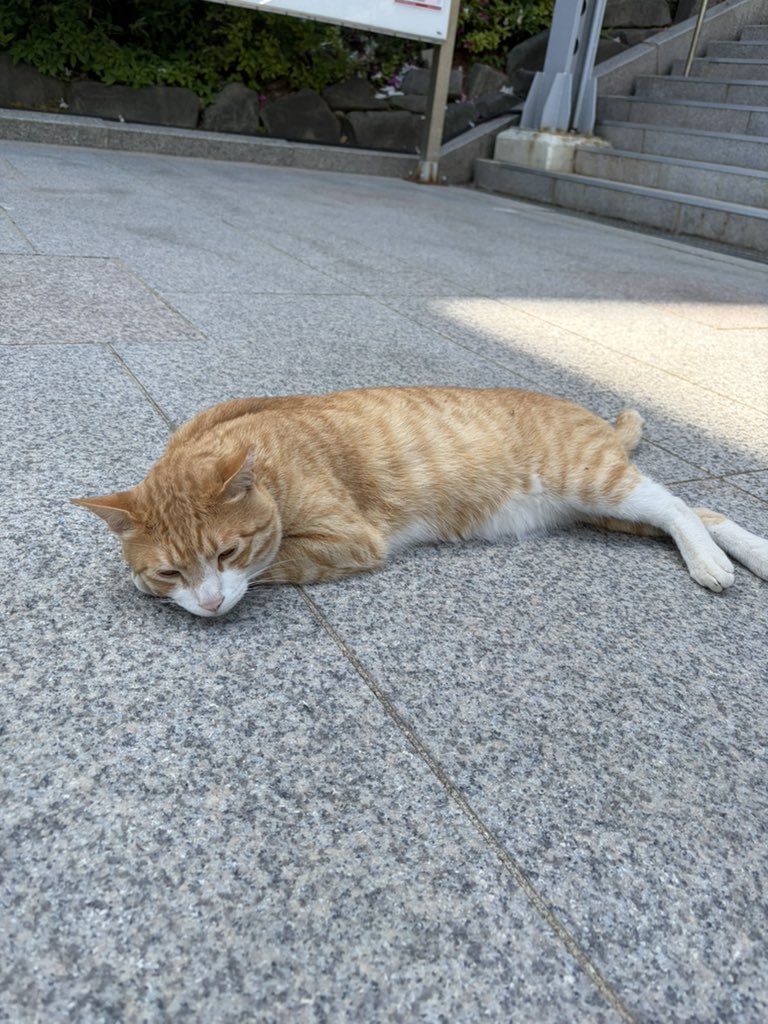 1uvhe0n's tweet photo. 학교에 있는 냐니... ♡ https://t.co/IavE4Aw8KS