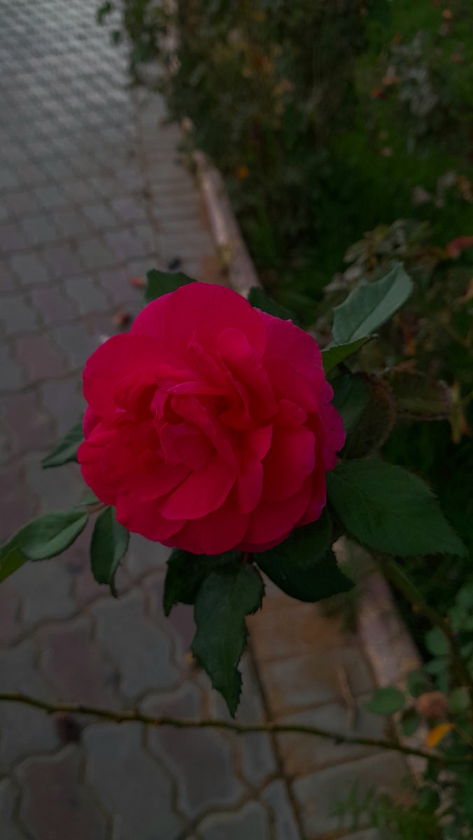 hudaskd's tweet photo. https://t.co/2zOfYn5Bu7