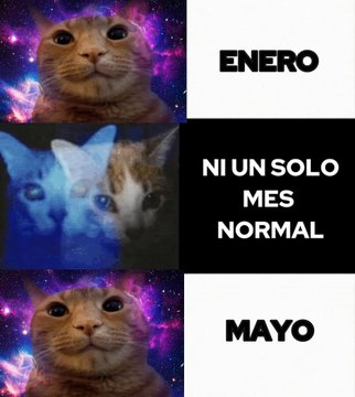 Pensamientos tweet media