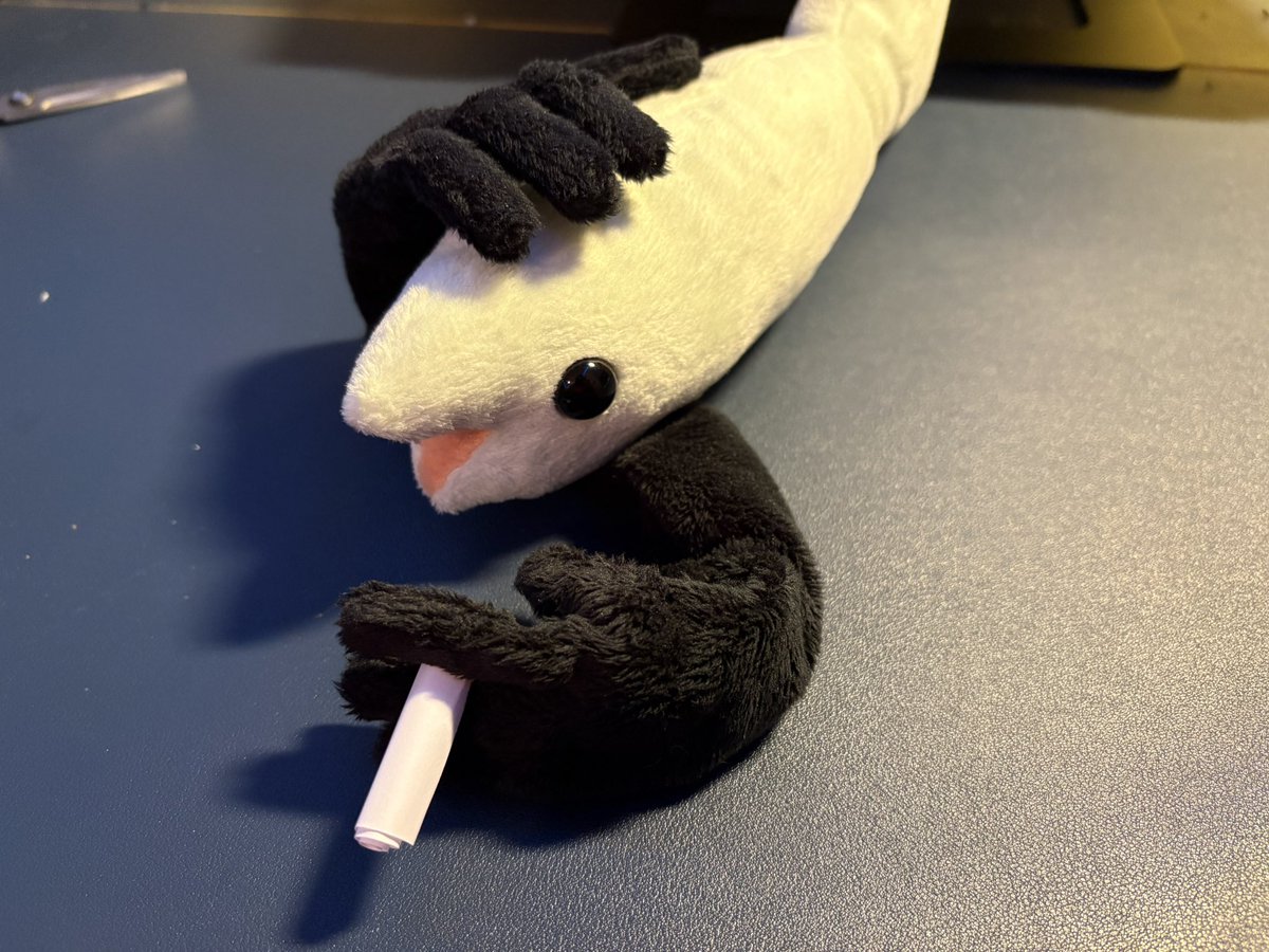 HowlKilmer's tweet photo. ARMFISH I’m so pleased with him https://t.co/CTv4g8zNR3