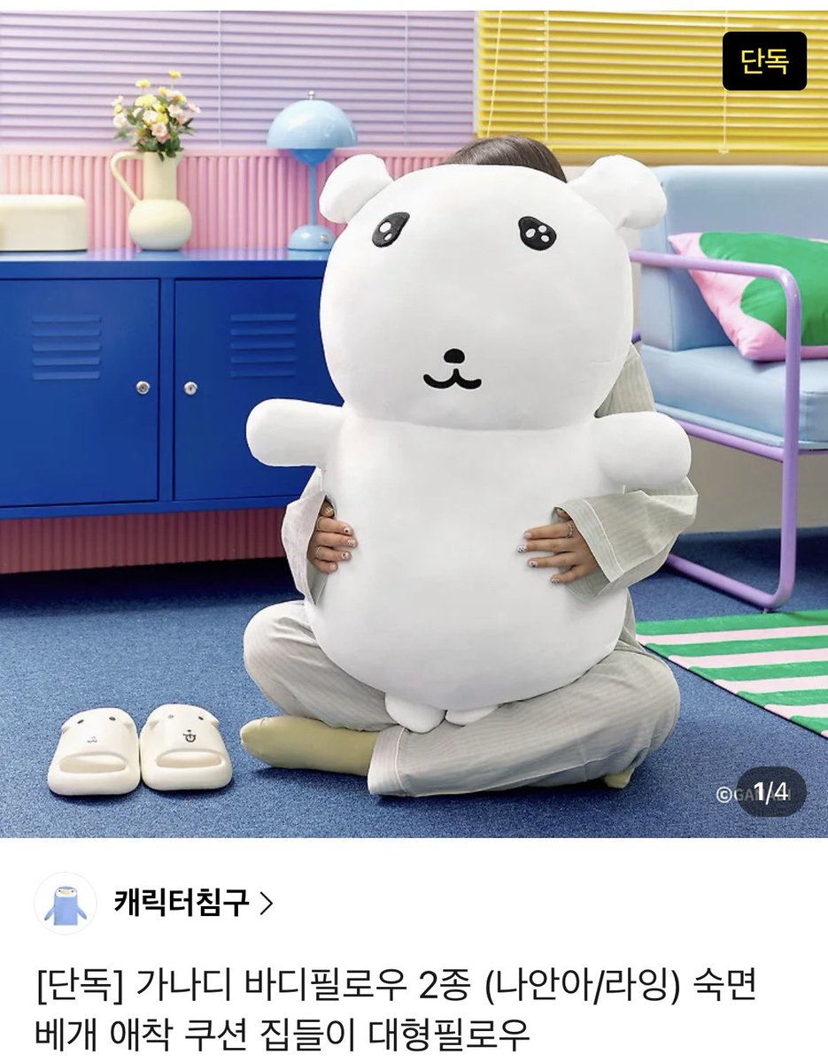 정배 tweet media